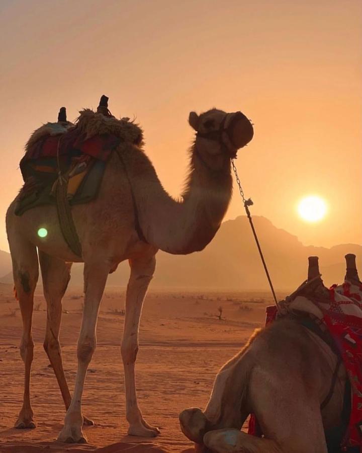 Rum Desert Princess Camp Wadi Rum Exterior foto